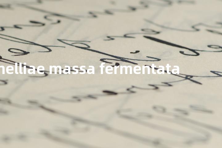 pinelliae massa fermentata单词图解，单词释义场景配图