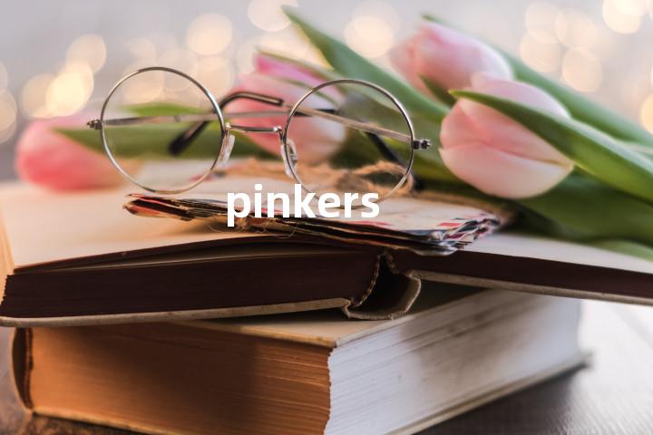 pinkers单词图解，单词释义场景配图