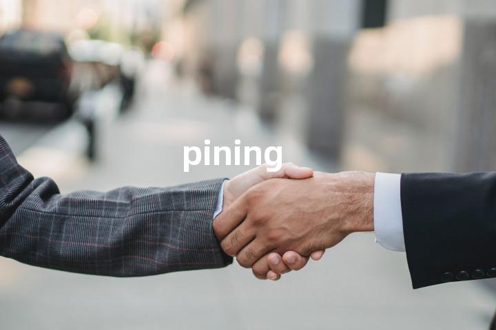 pining单词图解，单词释义场景配图