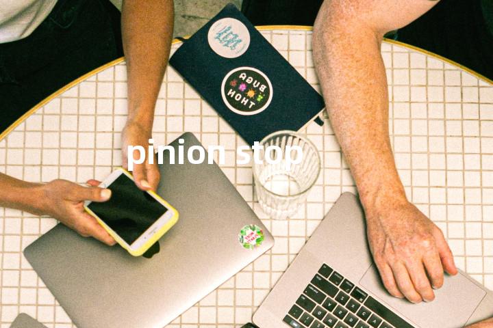 pinion stop单词图解，单词释义场景配图