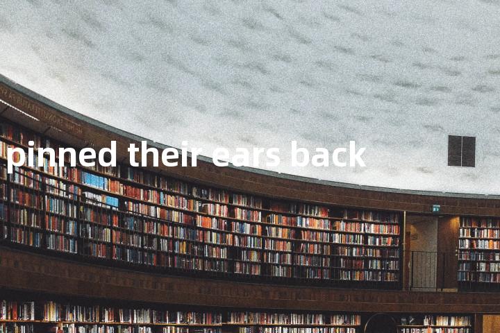 pinned their ears back单词图解，单词释义场景配图