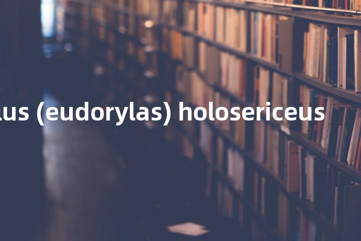 pipunculus (eudorylas) holosericeus单词图解，单词释义场景配图
