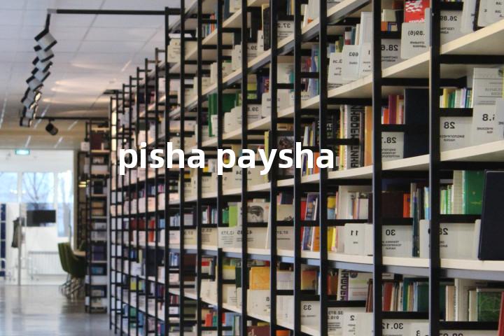 pisha paysha单词图解，单词释义场景配图