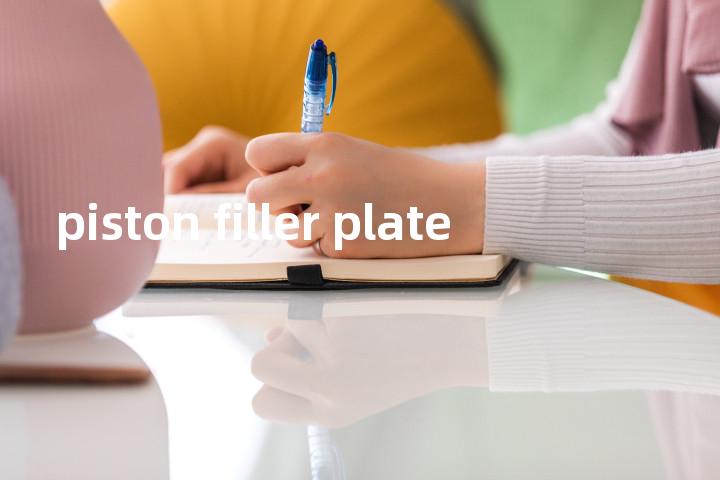 piston filler plate单词图解，单词释义场景配图