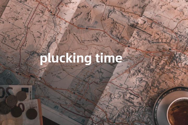 plucking time单词图解，单词释义场景配图