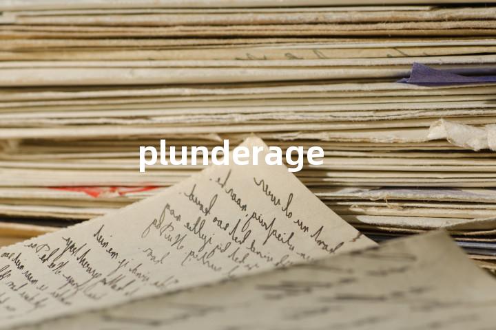 plunderage单词图解，单词释义场景配图