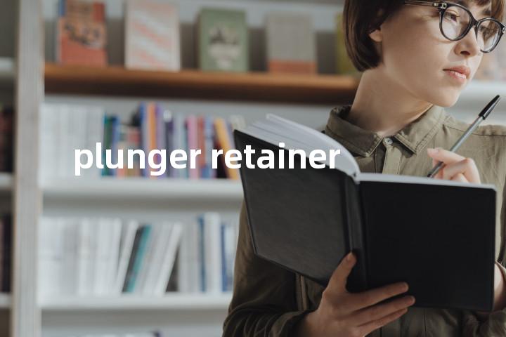 plunger retainer单词图解，单词释义场景配图