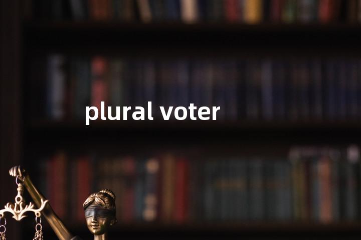 plural voter单词图解，单词释义场景配图