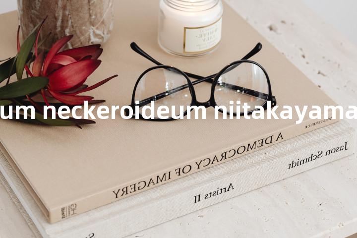 plagiothecium neckeroideum niitakayamae单词图解，单词释义场景配图