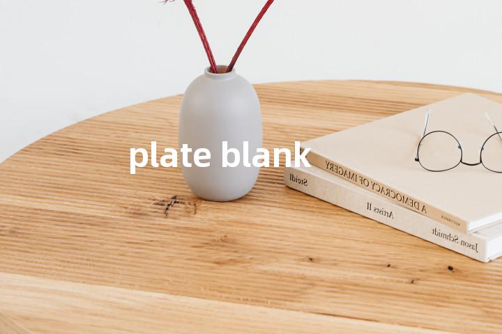 plate blank单词图解，单词释义场景配图