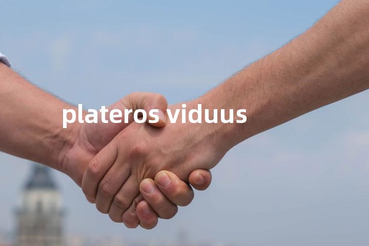 plateros viduus单词图解，单词释义场景配图