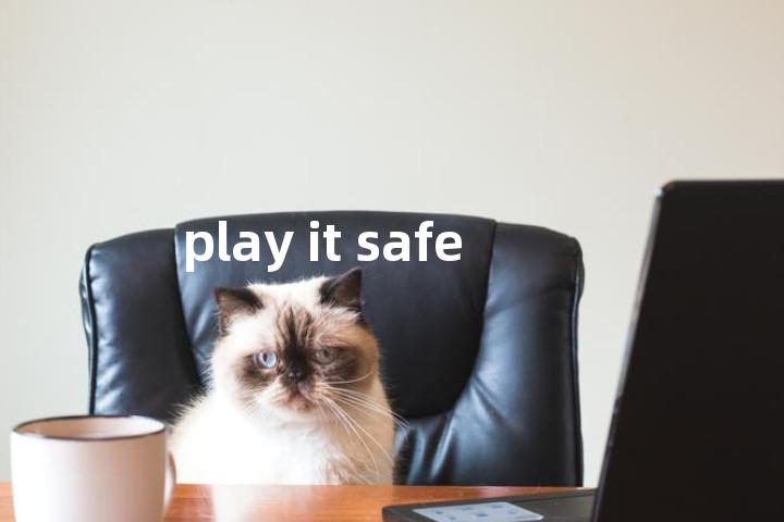 play it safe单词图解，单词释义场景配图