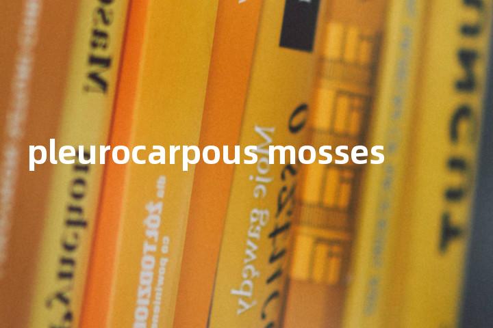 pleurocarpous mosses单词图解，单词释义场景配图