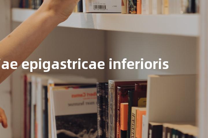 plica arteriae epigastricae inferioris单词图解，单词释义场景配图