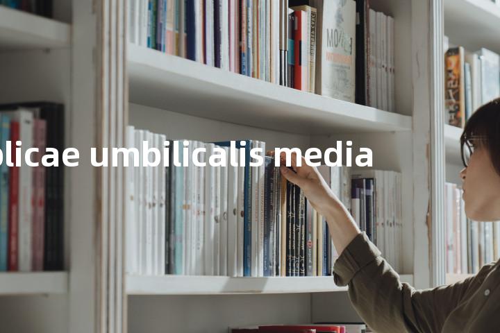plicae umbilicalis media单词图解，单词释义场景配图