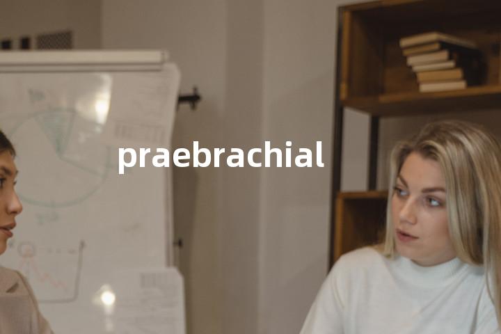 praebrachial单词图解，单词释义场景配图