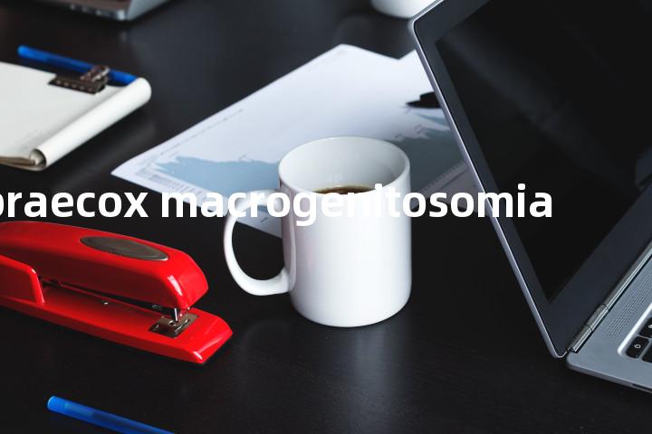 praecox macrogenitosomia单词图解，单词释义场景配图
