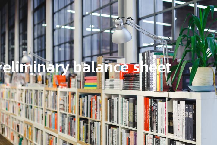 preliminary balance sheet单词图解，单词释义场景配图