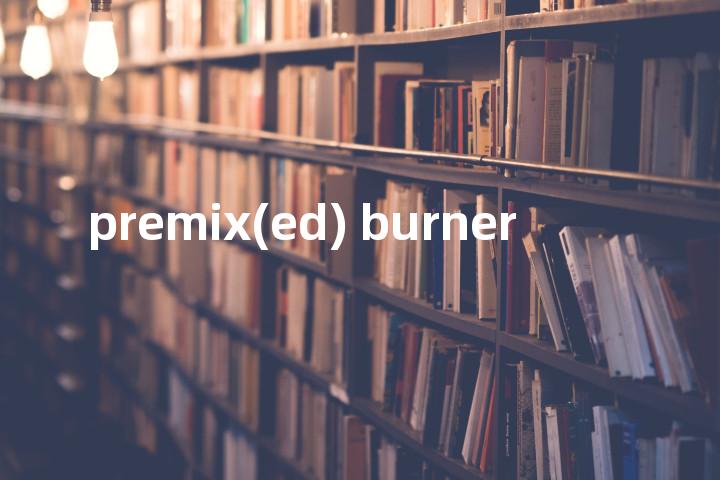 premix(ed) burner单词图解，单词释义场景配图