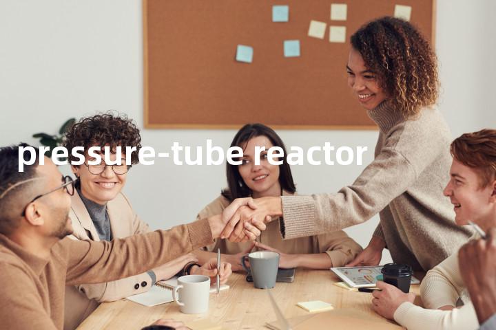 pressure-tube reactor单词图解，单词释义场景配图