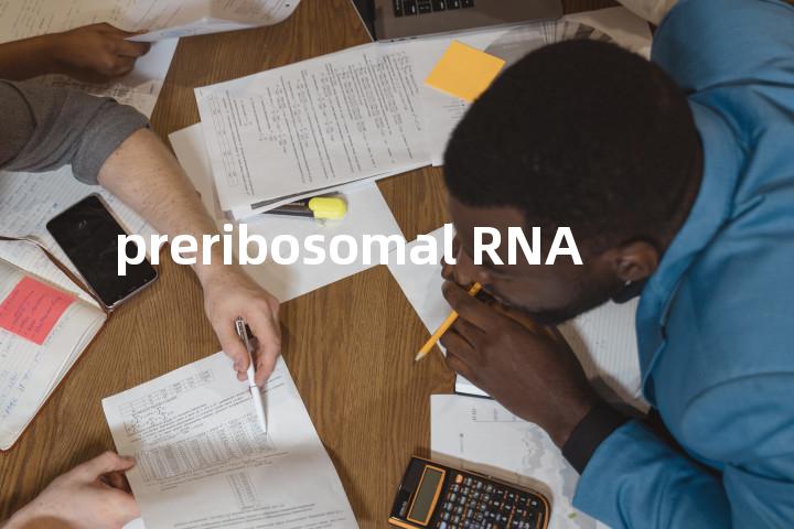 preribosomal RNA单词图解，单词释义场景配图