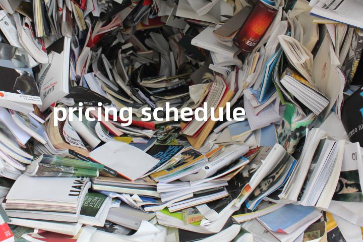 pricing schedule单词图解，单词释义场景配图