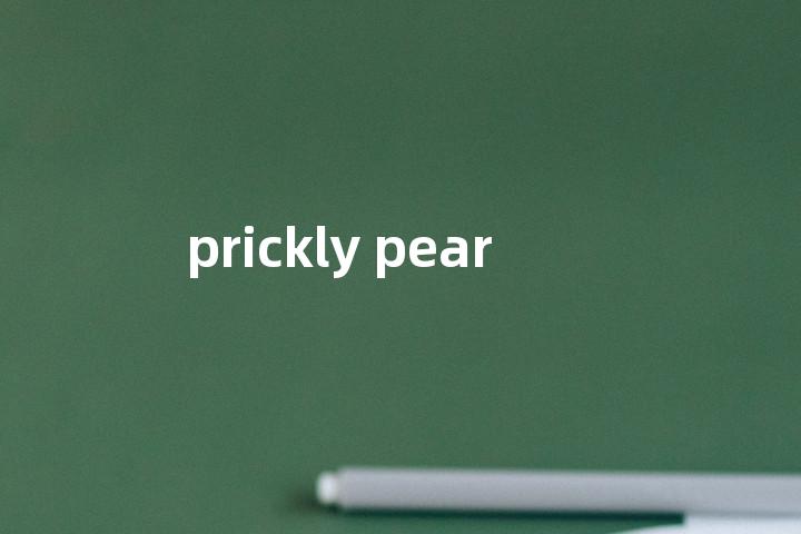 prickly pear单词图解，单词释义场景配图