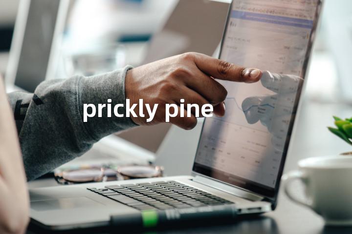 prickly pine单词图解，单词释义场景配图