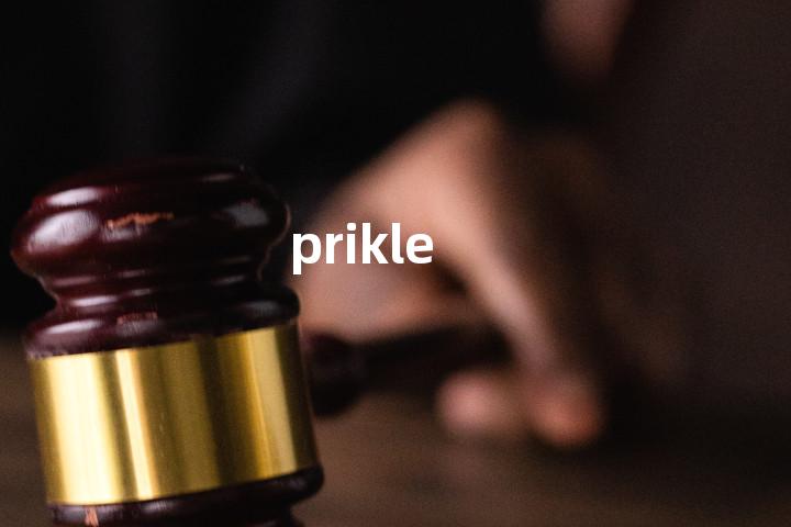 prikle单词图解，单词释义场景配图