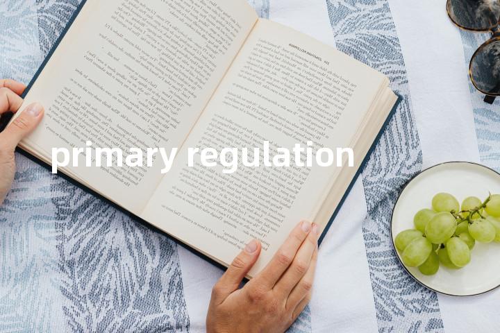 primary regulation单词图解，单词释义场景配图
