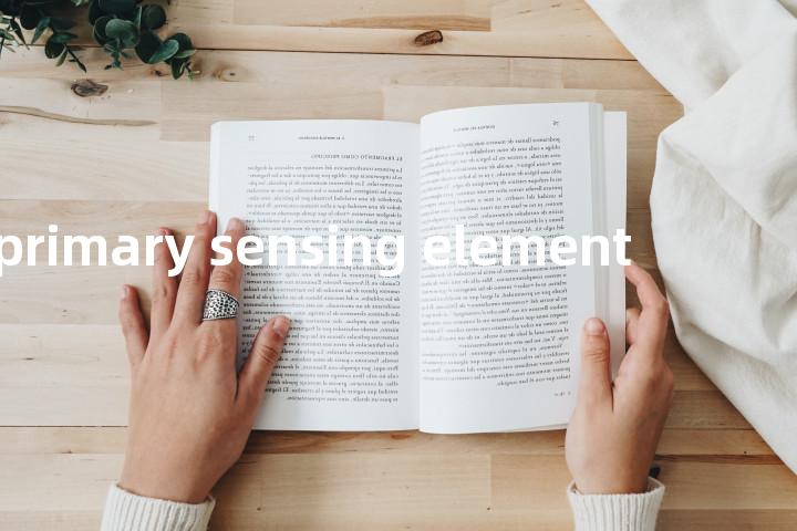 primary sensing element单词图解，单词释义场景配图