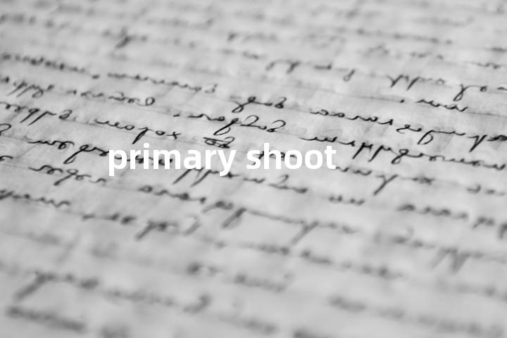 primary shoot单词图解，单词释义场景配图