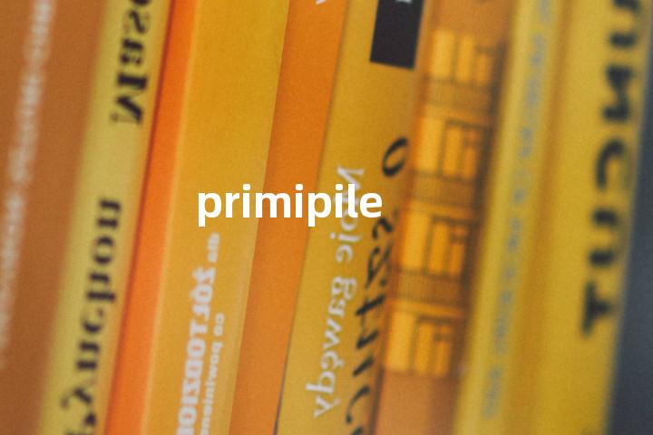 primipile单词图解，单词释义场景配图