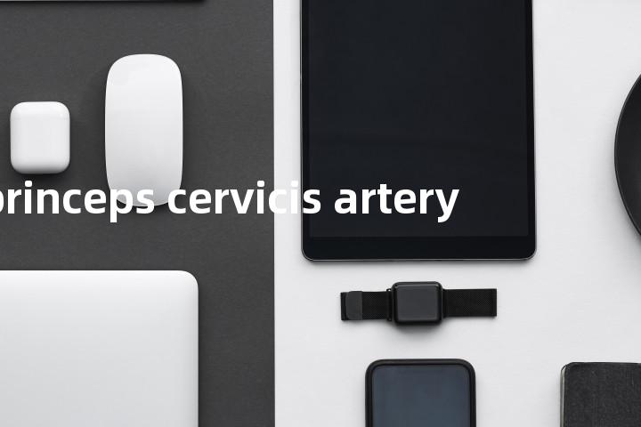 princeps cervicis artery单词图解，单词释义场景配图