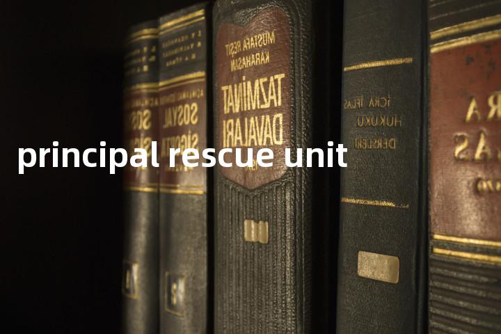principal rescue unit单词图解，单词释义场景配图