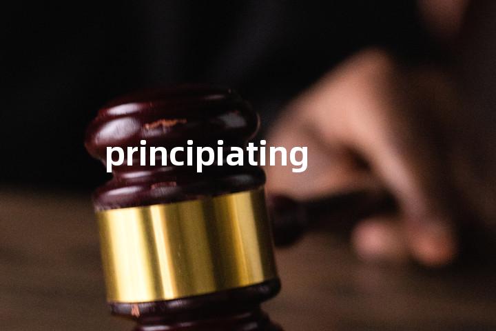 principiating单词图解，单词释义场景配图
