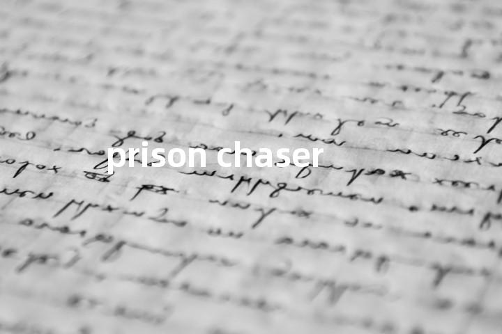 prison chaser单词图解，单词释义场景配图