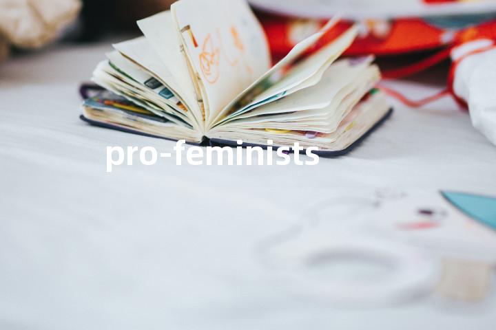 pro-feminists单词图解，单词释义场景配图