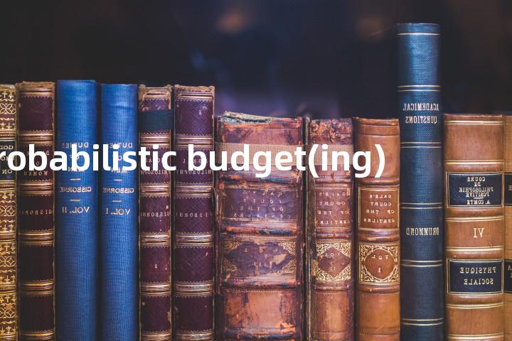 probabilistic budget(ing)单词图解，单词释义场景配图