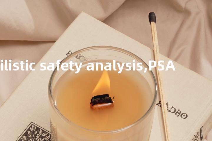 probabilistic safety analysis,PSA单词图解，单词释义场景配图