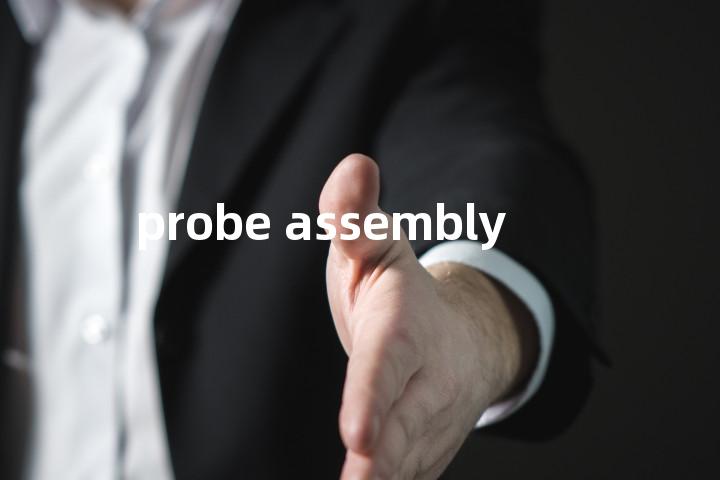 probe assembly单词图解，单词释义场景配图