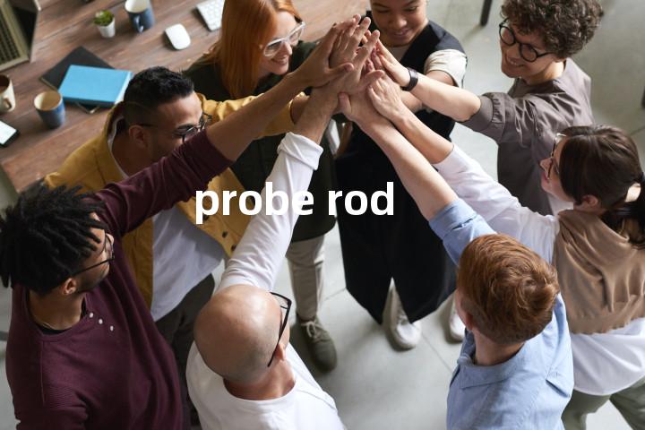 probe rod单词图解，单词释义场景配图