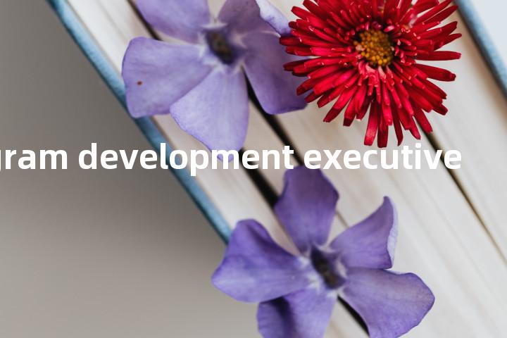 program development executive单词图解，单词释义场景配图