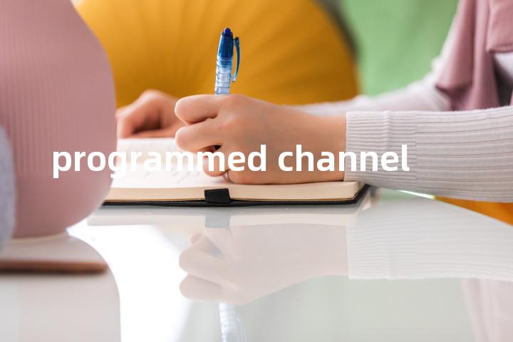 programmed channel单词图解，单词释义场景配图