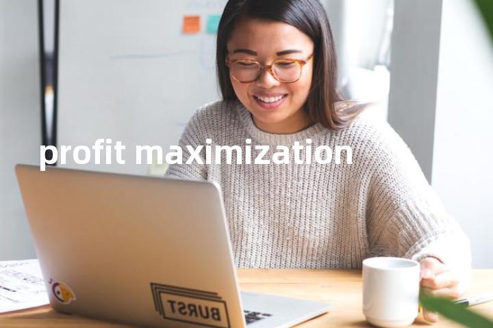 profit maximization单词图解，单词释义场景配图
