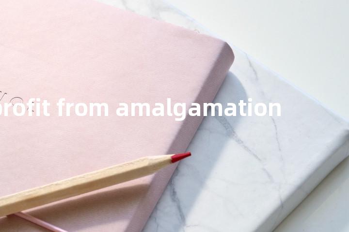 profit from amalgamation单词图解，单词释义场景配图