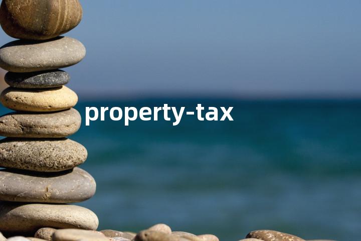 property-tax单词图解，单词释义场景配图