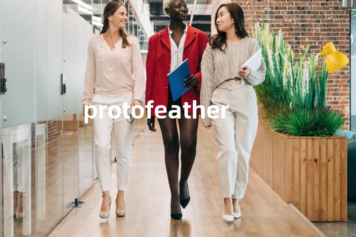 protofeather单词图解，单词释义场景配图