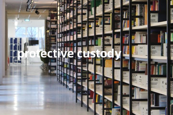 protective custody单词图解，单词释义场景配图