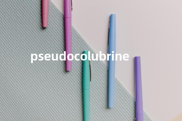 pseudocolubrine单词图解，单词释义场景配图